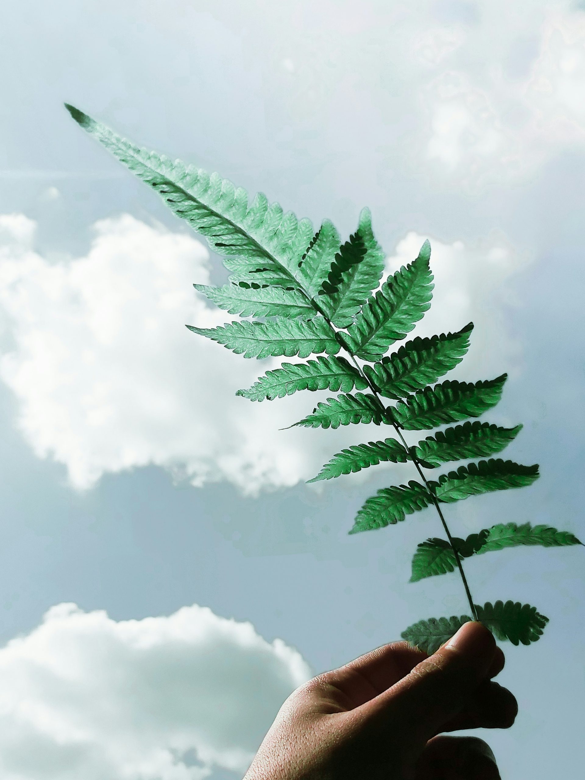Sustainable finance: The revolution in green investments