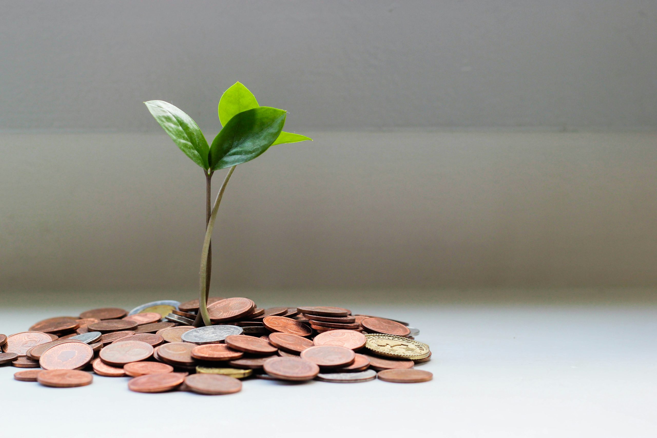 How is AI Transforming Financial Planning for Small Businesses?