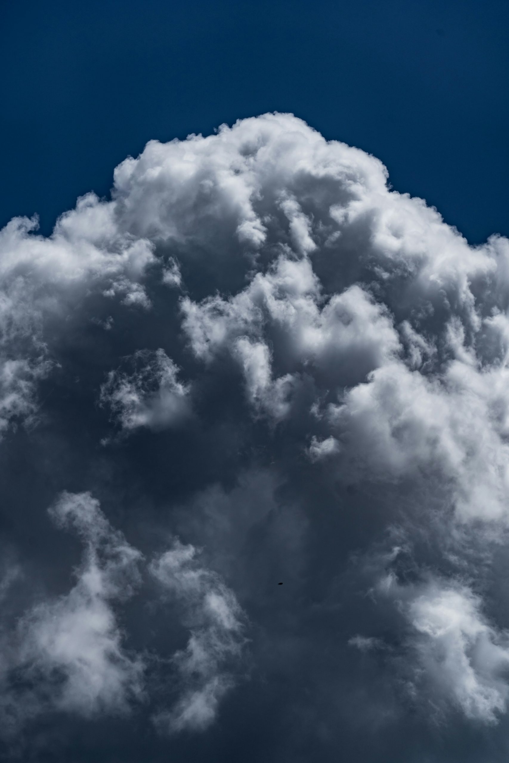 Why Cloud-Native Strategy Is Critical in 2025?